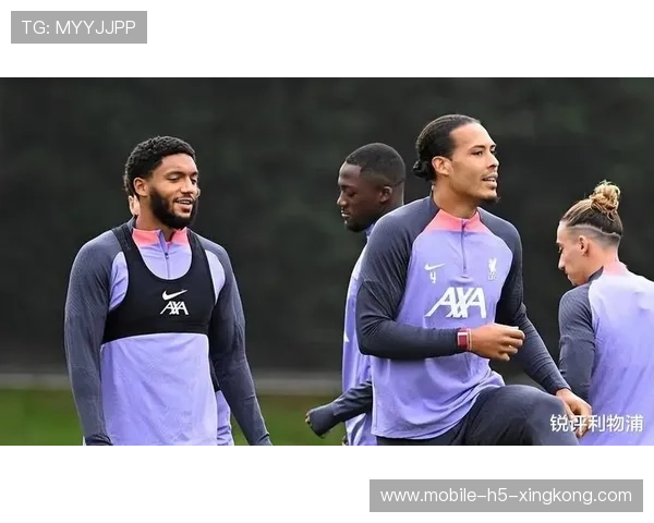 荷兰足球重回巅峰，博古萨与范戴克共筑防线传奇